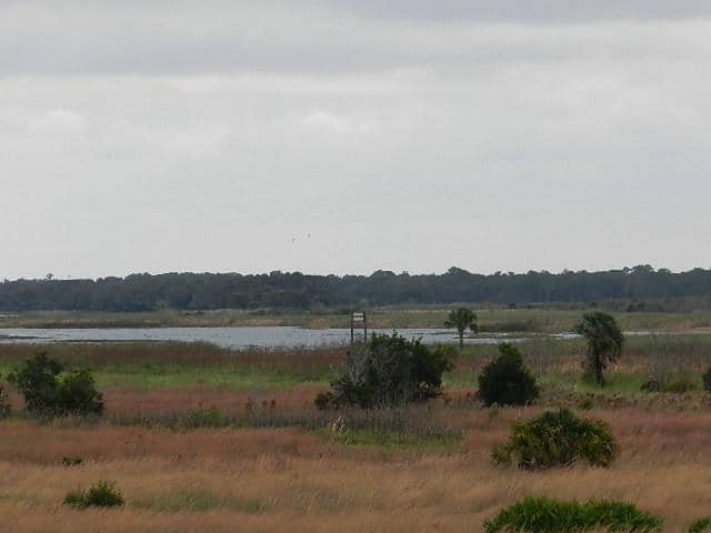 Hiking Trails