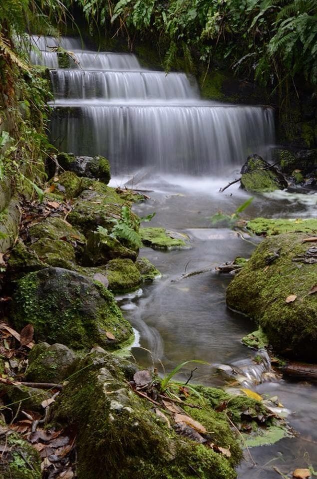 Brockhill Park Cascade