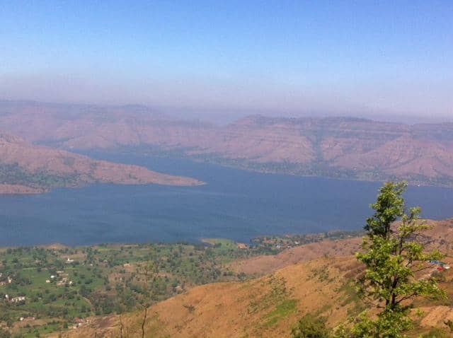 Wooden Bridge & Garden