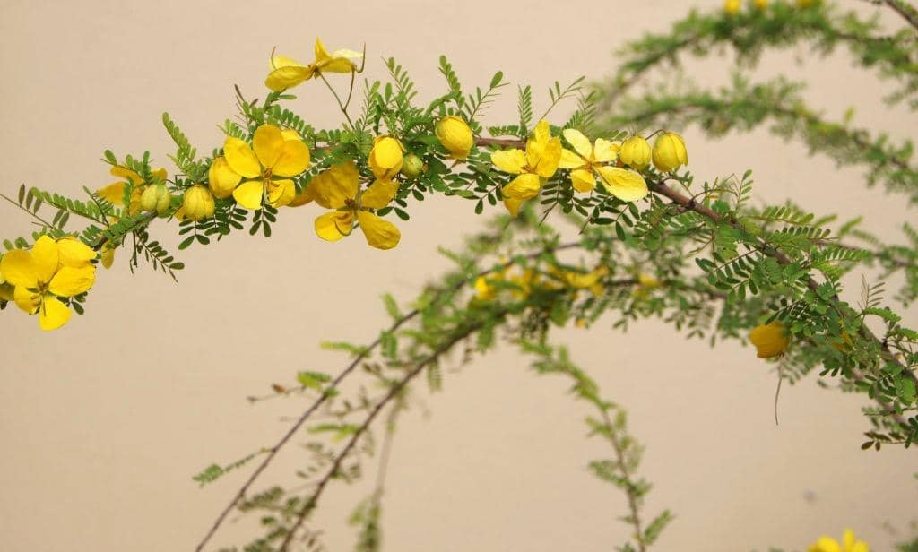 Adjacent Riverfront Park