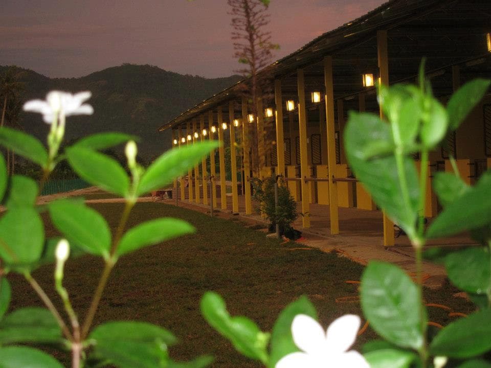 Countryside Stables Penang