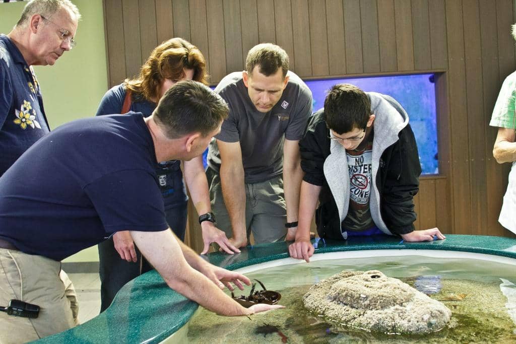 Interactive Science Exhibits