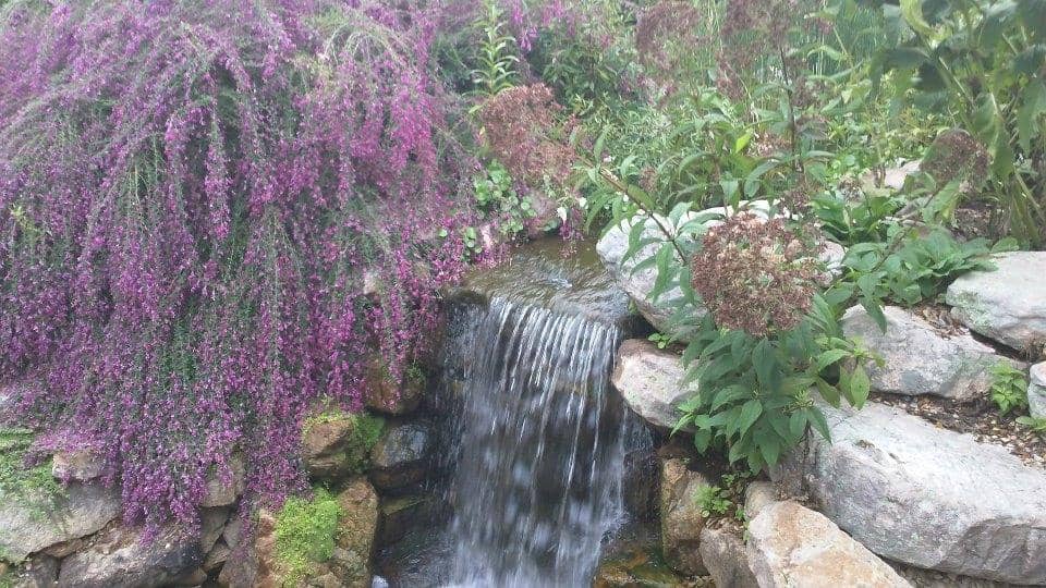 Vertical photo