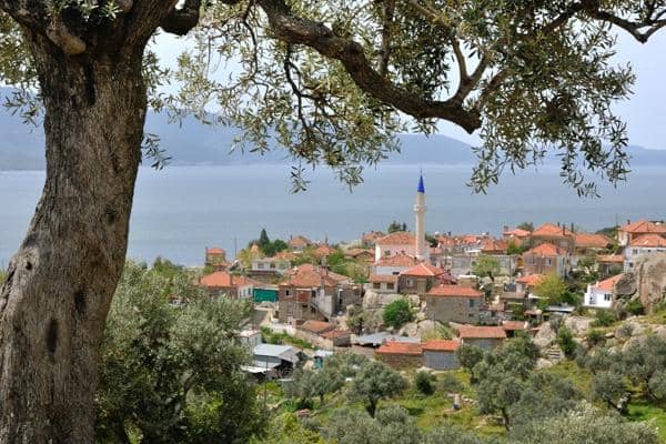 Panoramic Summit Views