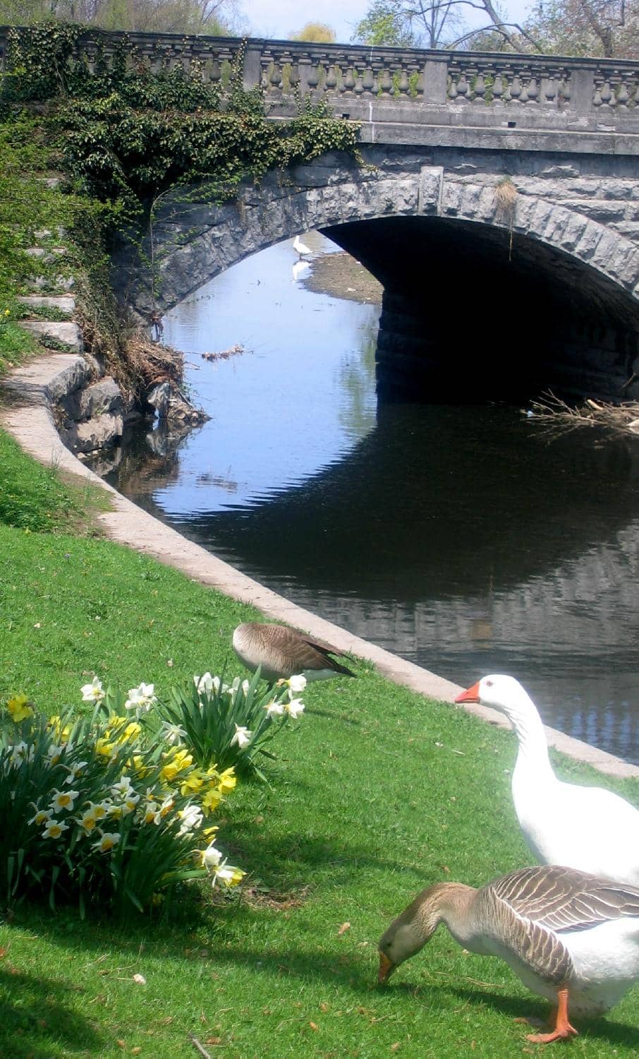 Mirror Lake & Wildlife