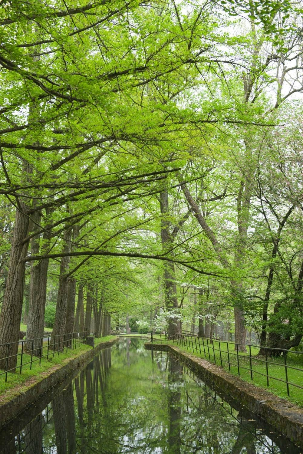 Gunpowder Mills & Demonstrations