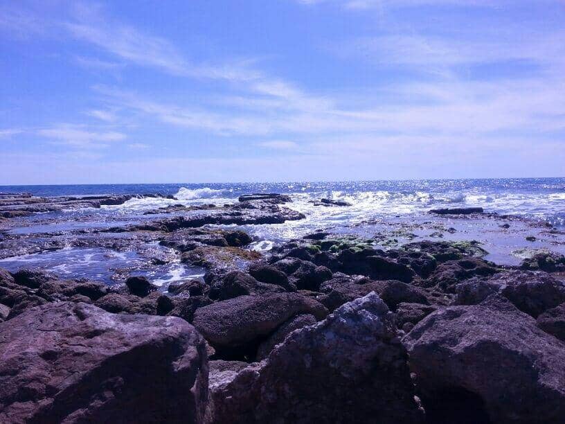Scenic Coastal Promenade