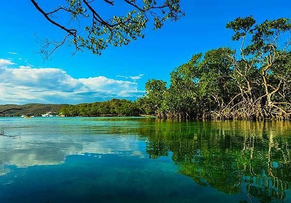 Cayo Aurora (Guilligan's Island). By Gürhan Genel.