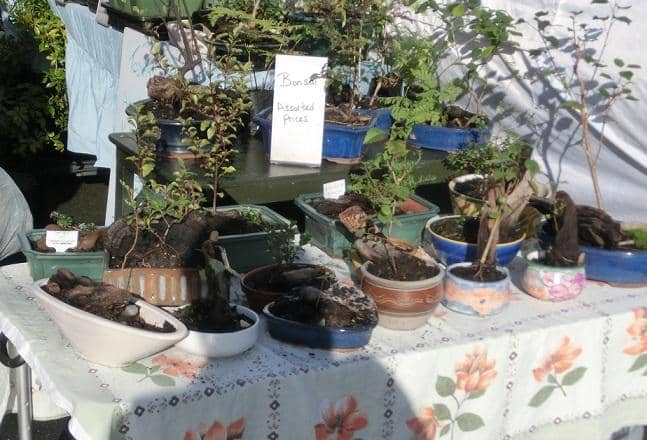 Fresh Produce and Local Delicacies