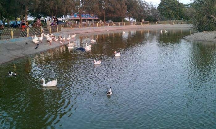 Green Lawns and Picnic Spots