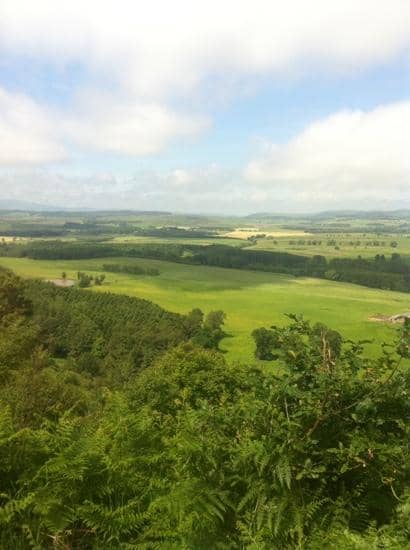 Scenic Walking Trails