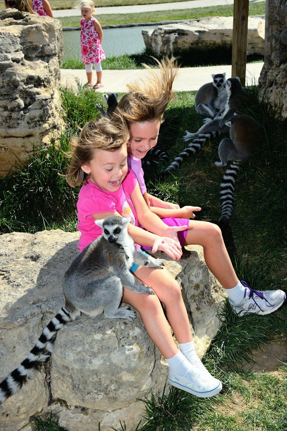 Lemur Island Encounters