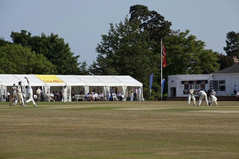 Cricket week on The Vine, always 2nd week of July