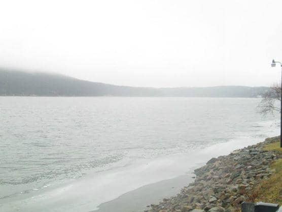 Coastal Views & Wildlife
