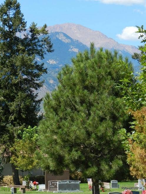 Civil War Soldier Graves