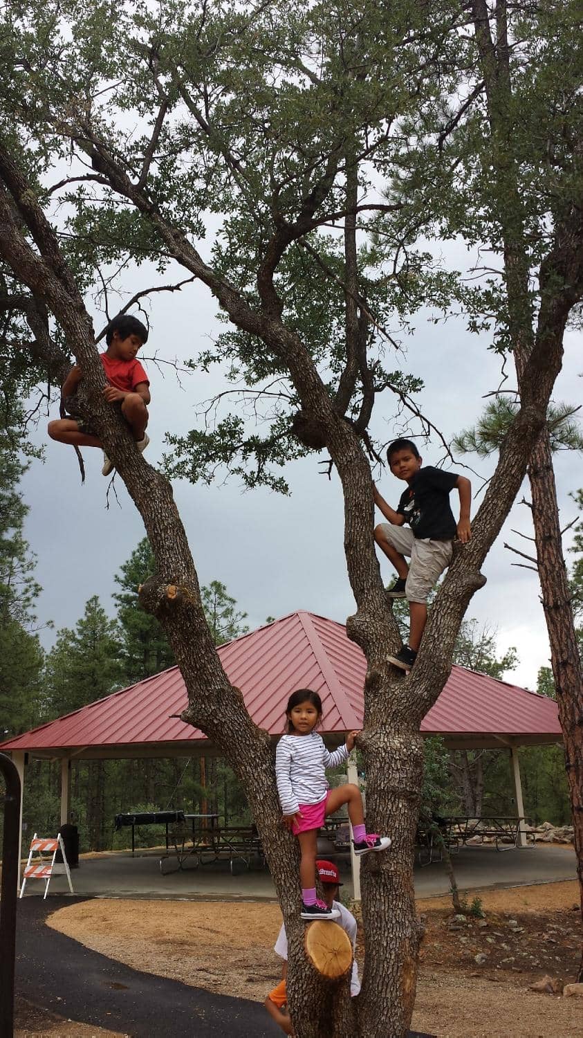 Lakeside Hiking Trails