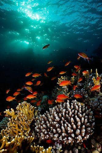 Breathtaking Sunsets