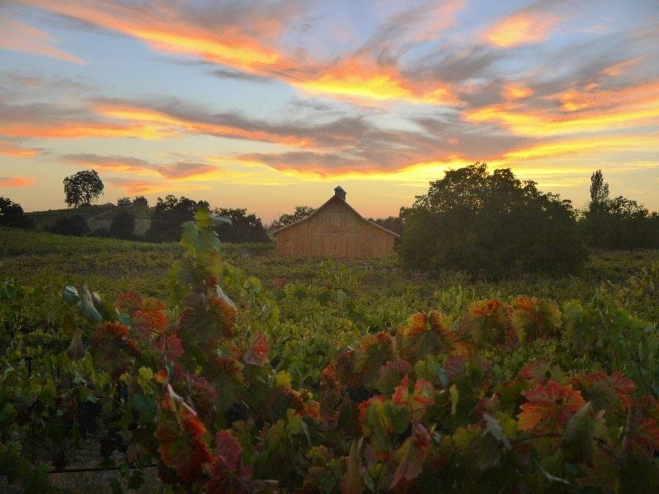 The Barn at Amador Cellars (special event center)