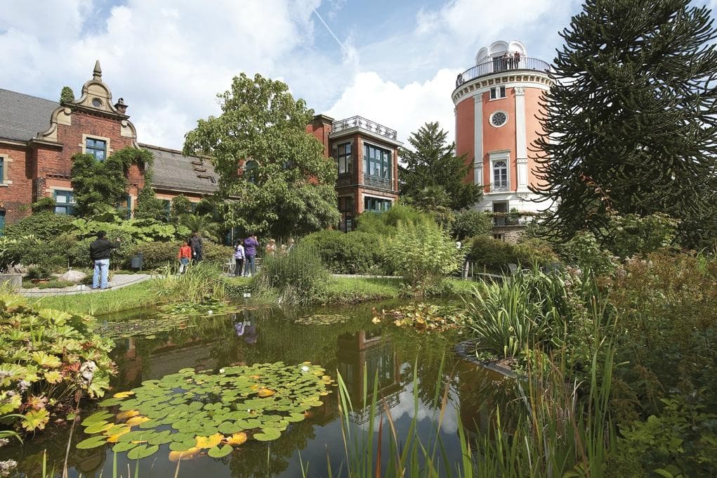 Ботанический сад Вупперталя