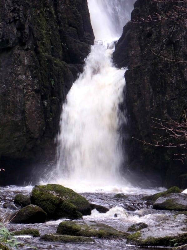 Vertical photo