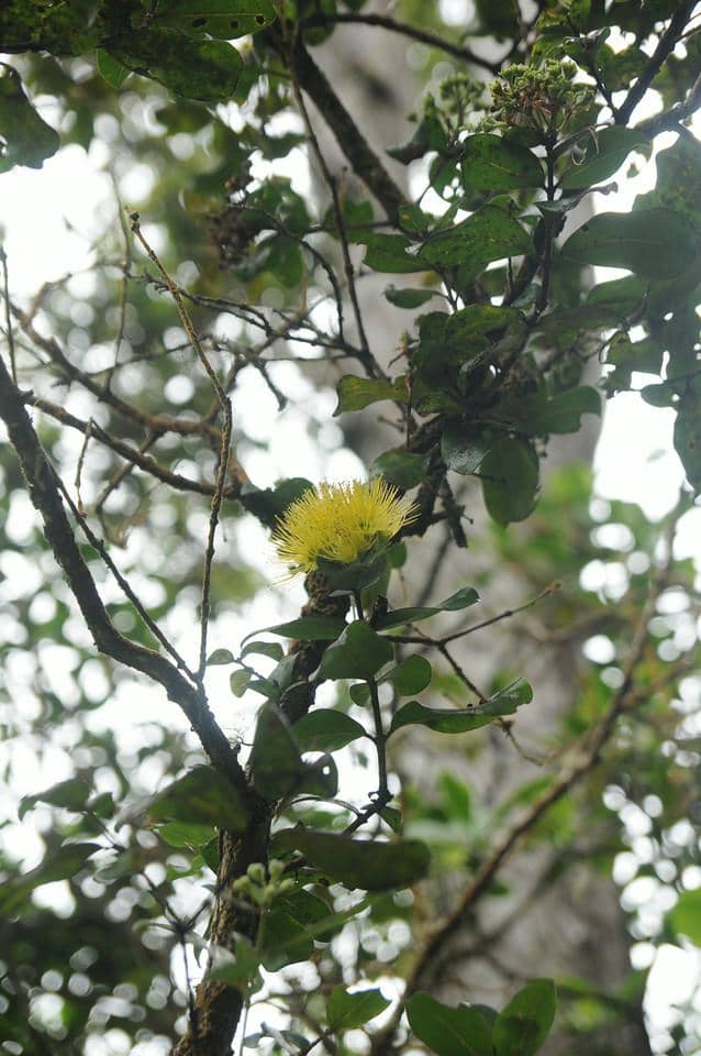 Guided Nature Trail