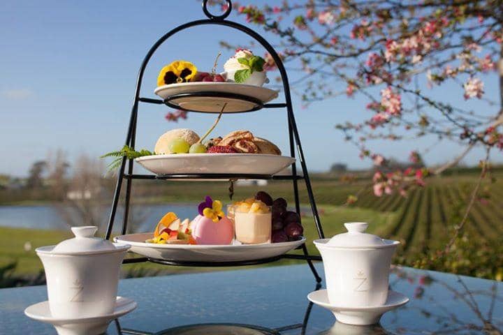Explore the Organic Tea Gardens