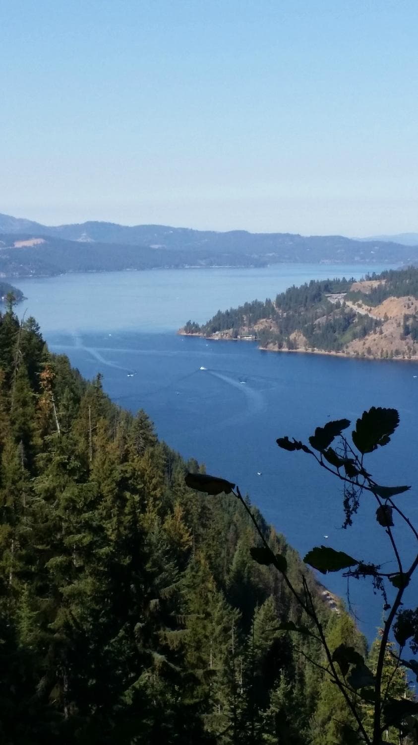 Lake Coeurdalene