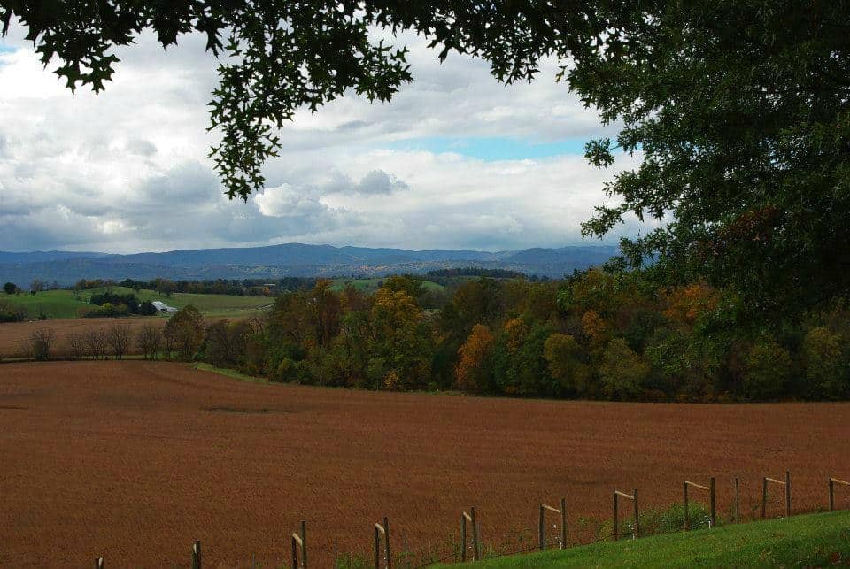 European-Style Winery Ambiance