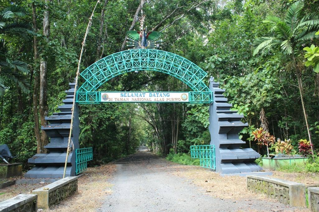 Pantai Plengkung (G-Land)