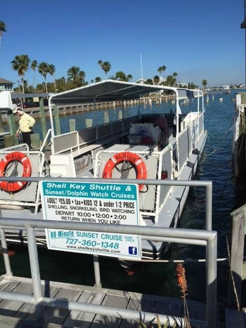 Pelican Feeding Frenzy
