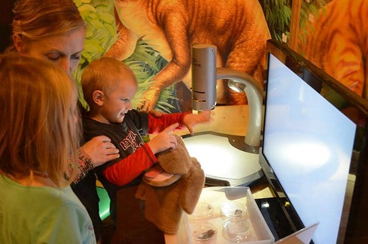 Outdoor Adventure Area