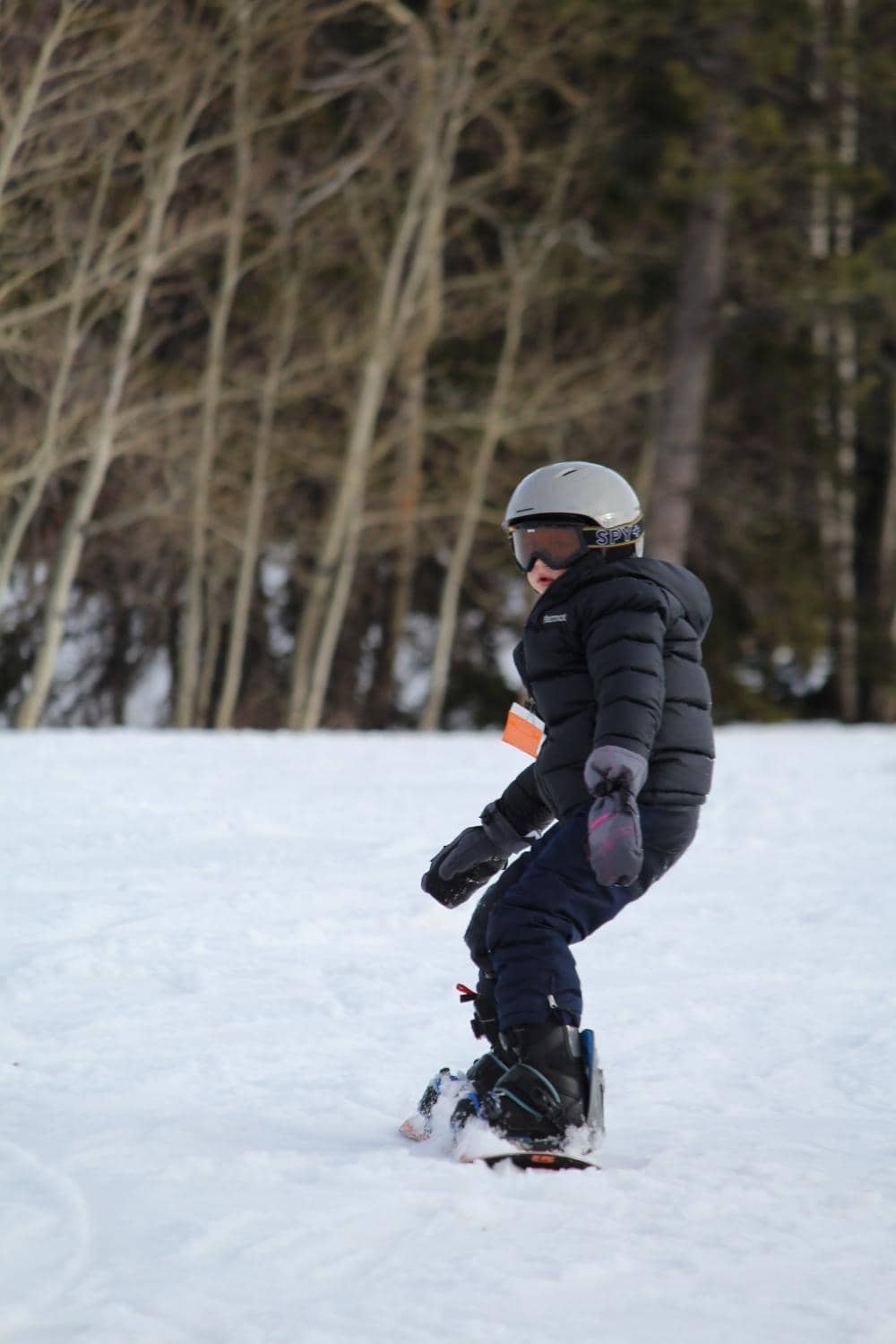 Cozy Chalets & Lodging