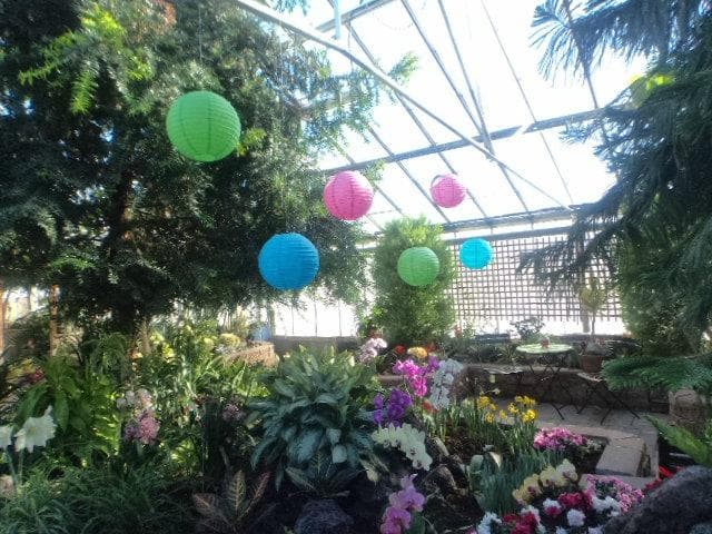 regina flower conservatory
