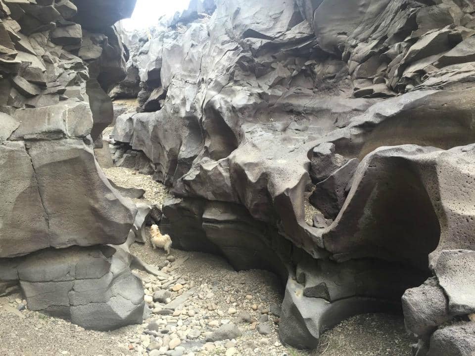 Dinosaur Ridge Views