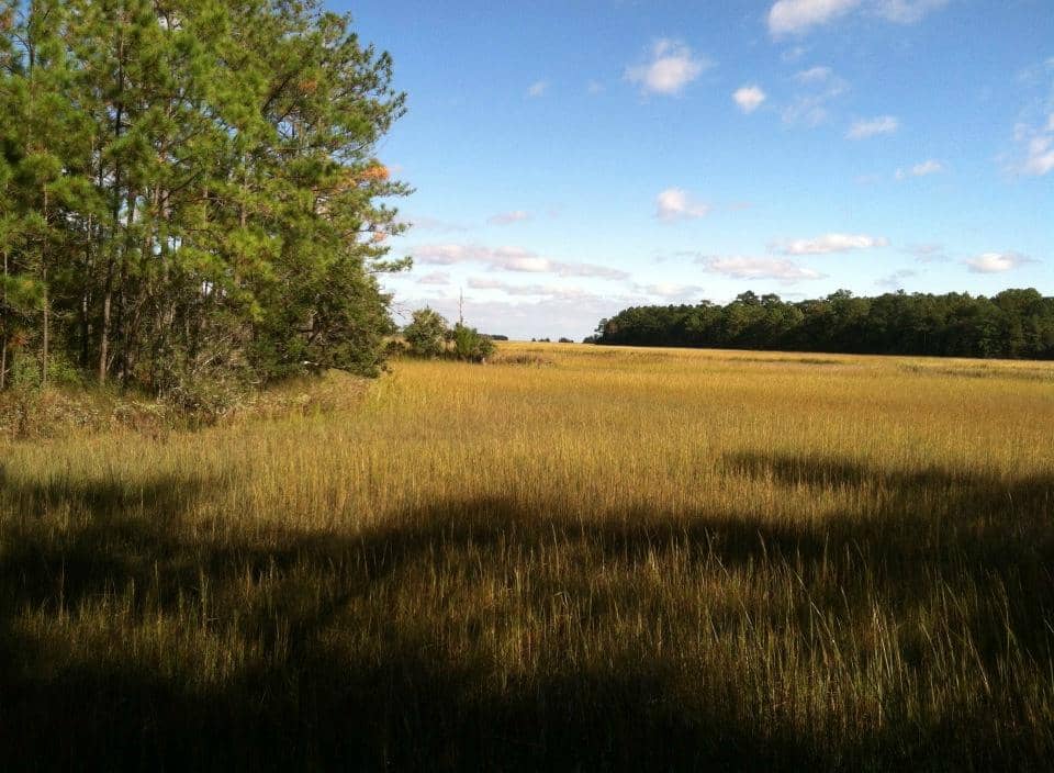 Coastal Marsh Sunrises