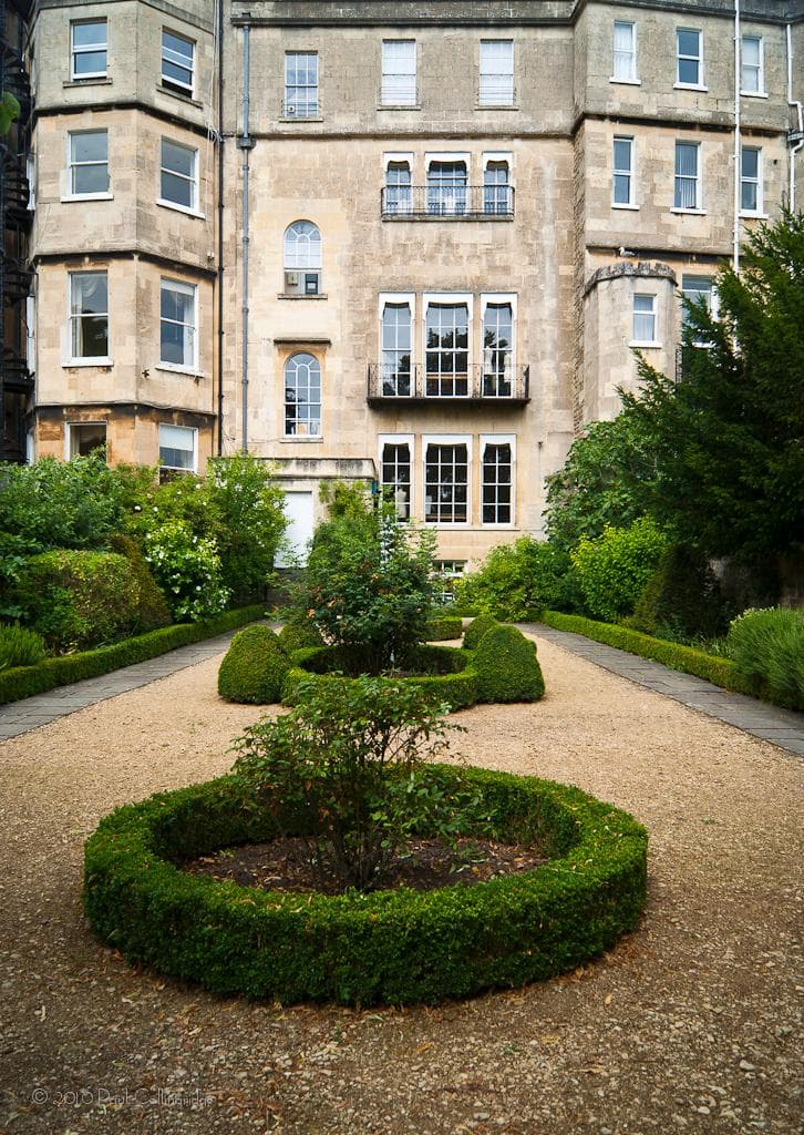 A view along the garden