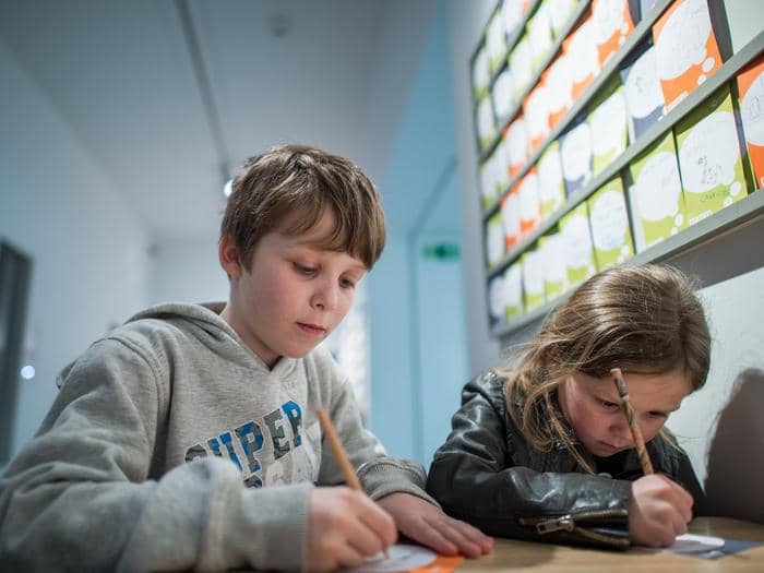 Taxidermy Collection