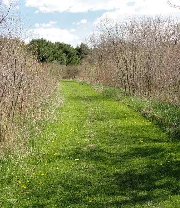Nature Center & Trails