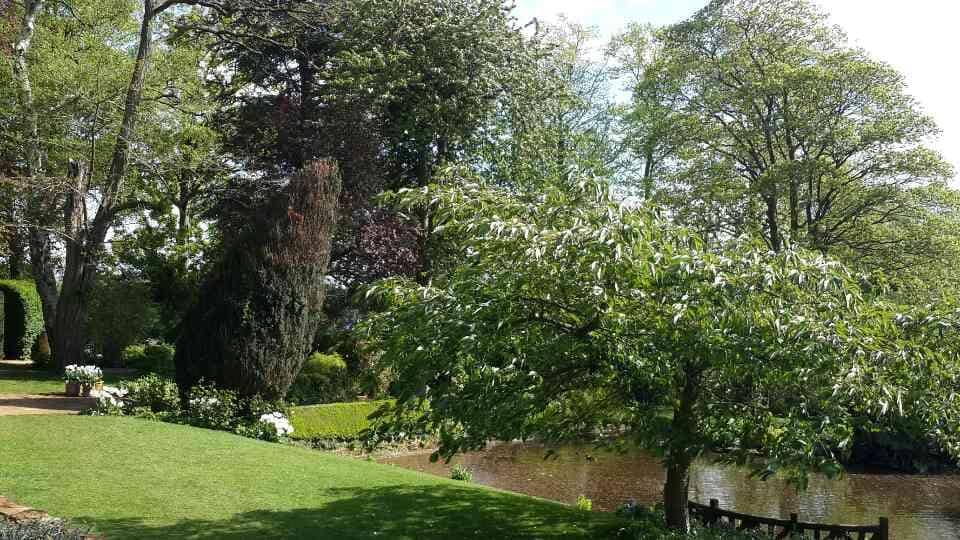 The Water Garden