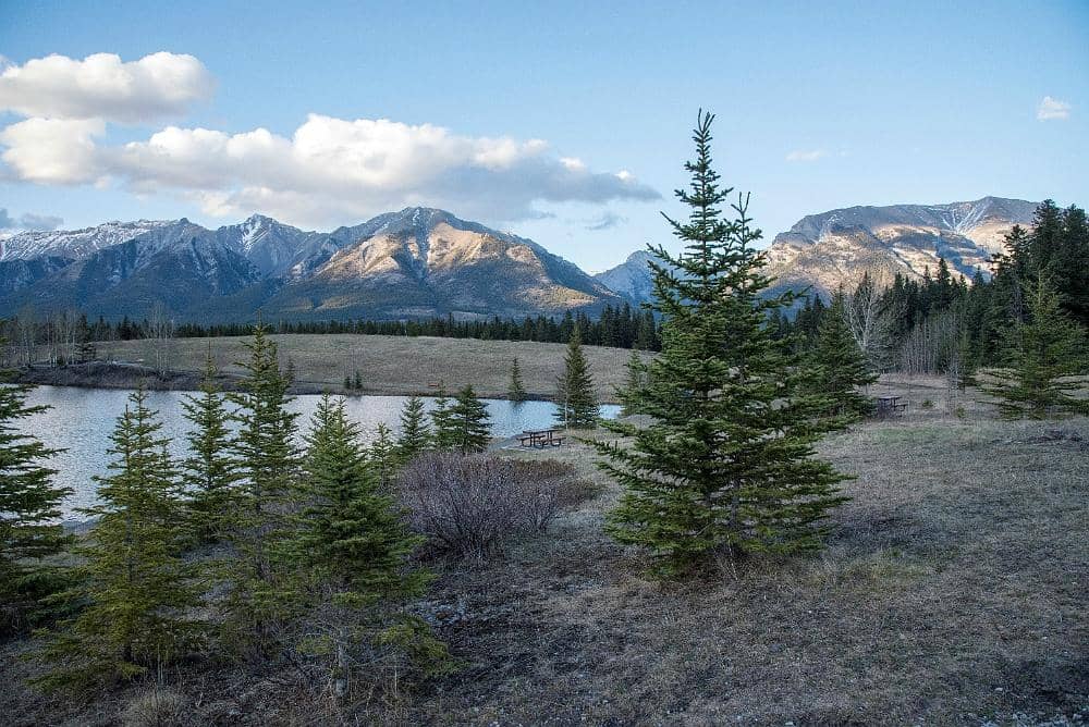 Scenic Loop Trail