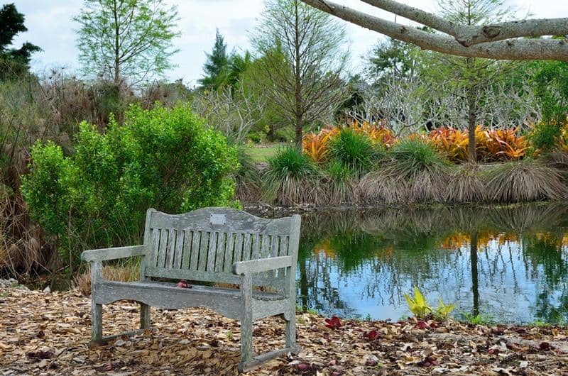 Native Wildlife Encounters