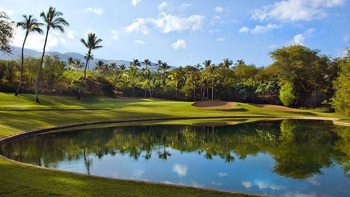 Hole #8 Ocean View