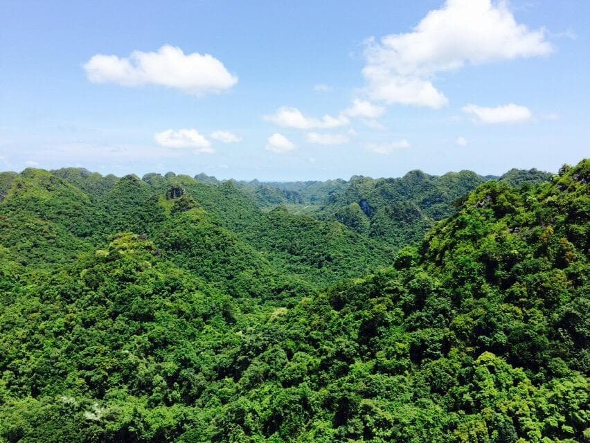 Cat Ba National Park