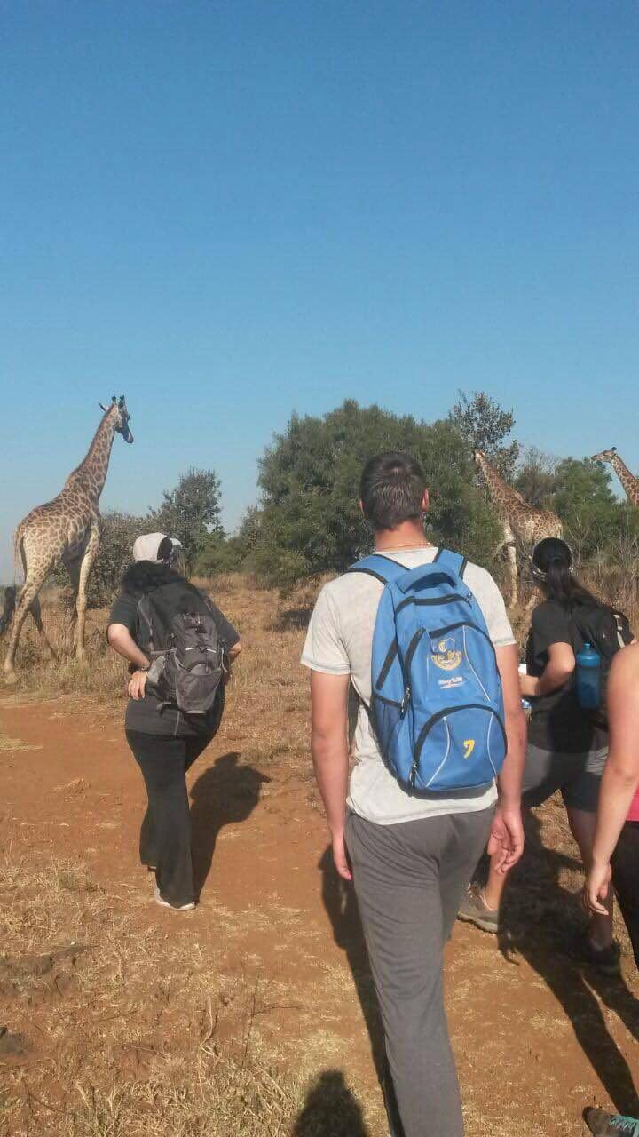 Scenic Hiking Trails