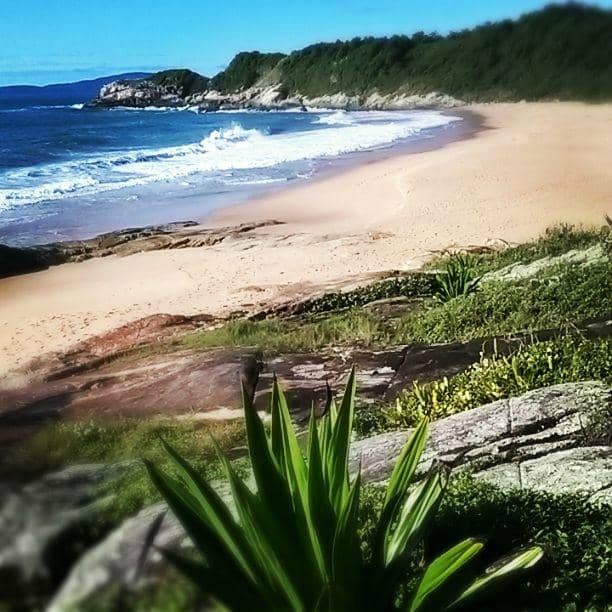 Scenic Natural Beauty