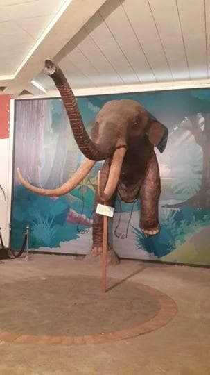 musium
