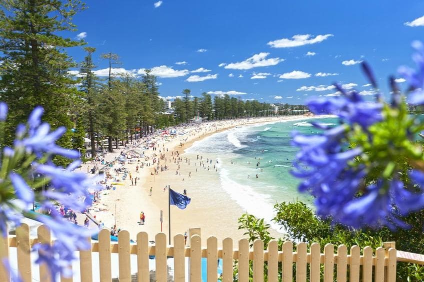 Manly Beach. Swimming, Surfing, Cafes