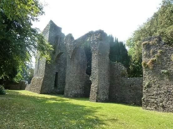 Richard Boyle, The Earl of Cork's archways in Maynooth Castle