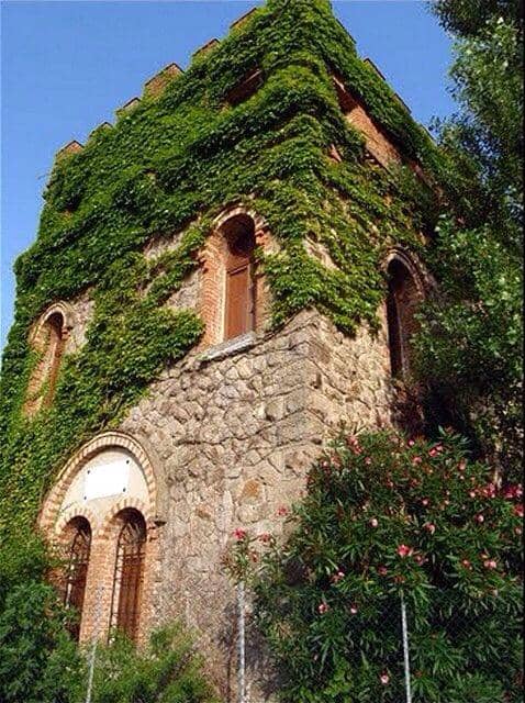 Vertical photo