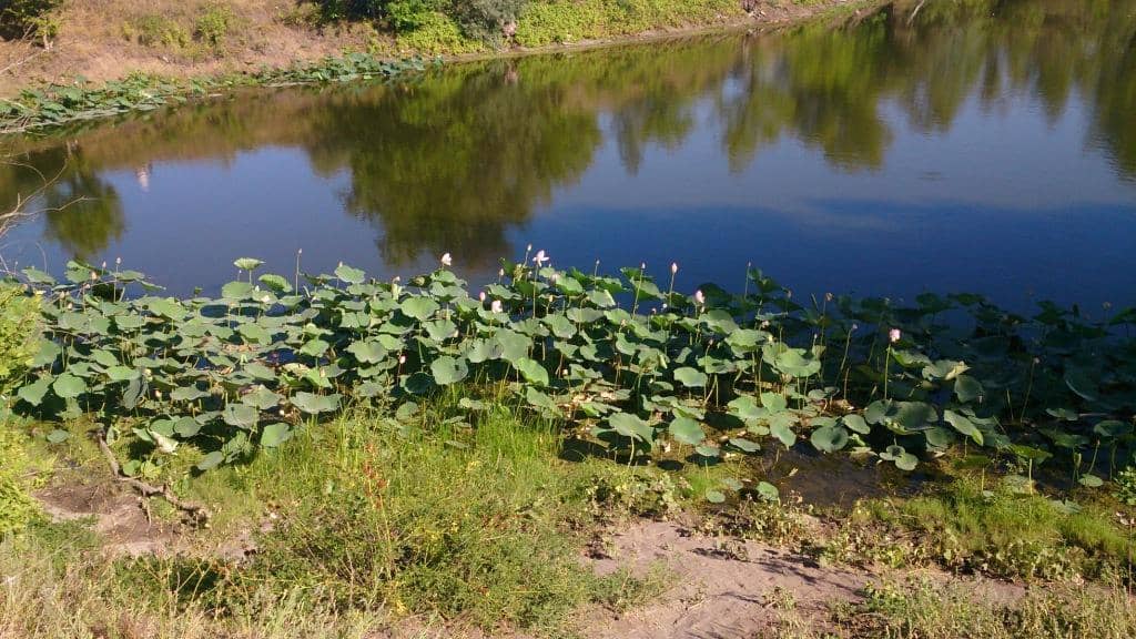 Picturesque Creeks and Lakes